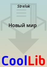 Книга -   Strelok - Новый мир (fb2) читать без регистрации