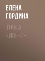 Книга - Елена  Гордина - Точка кипения (fb2) читать без регистрации
