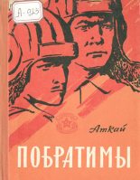 Книга - Аткай Акимович Аджаматов - Побратимы (fb2) читать без регистрации