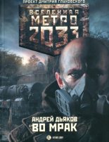 Книга - Андрей Геннадьевич Дьяков - Метро 2033: Во мрак (fb2) читать без регистрации