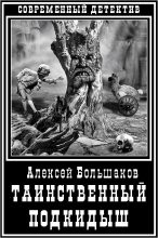 Книга - Алексей Владимирович Большаков - Таинственный подкидыш (fb2) читать без регистрации