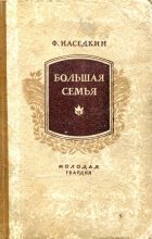 Книга - Филипп Иванович Наседкин - Большая семья (fb2) читать без регистрации