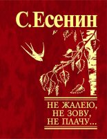 Книга - Сергей Александрович Есенин - Не жалею, не зову, не плачу… (fb2) читать без регистрации
